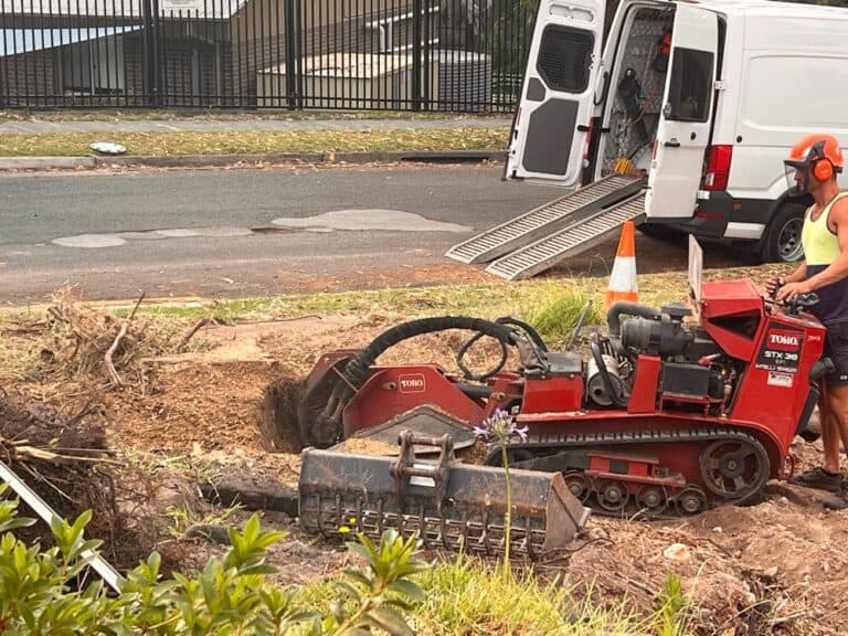 Emergency Tree Removal Service: Protect Your Property Today