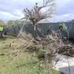 Stump grinding and tree removal service by Aps Tree Removal in Australia.