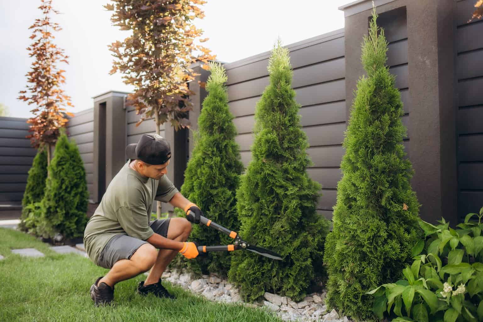 A young man is cutting pruning trees with a garden pruner in the backyard.