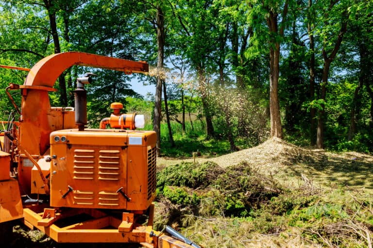 Landscapers using wood Chipper in Action captures a wood chipper or mulcher shooting chips over a