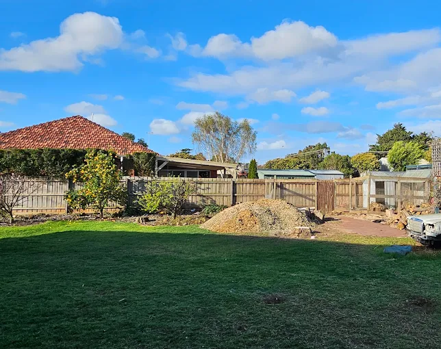 Stump removal and tree cutting services in Sydney - Aps Tree Removal.